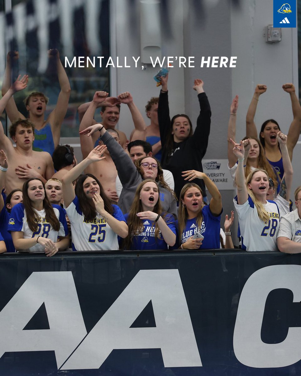 Delaware Blue Hens (@udbluehens) on Twitter photo 