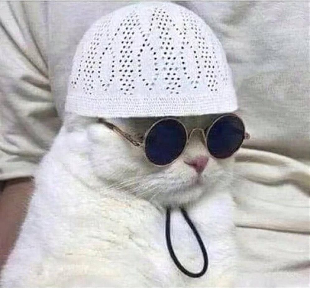 <a href="/FirstAtlanticGH/">First Atlantic Bank</a> investing in catfish farming is not a bad idea any help?  #back2back