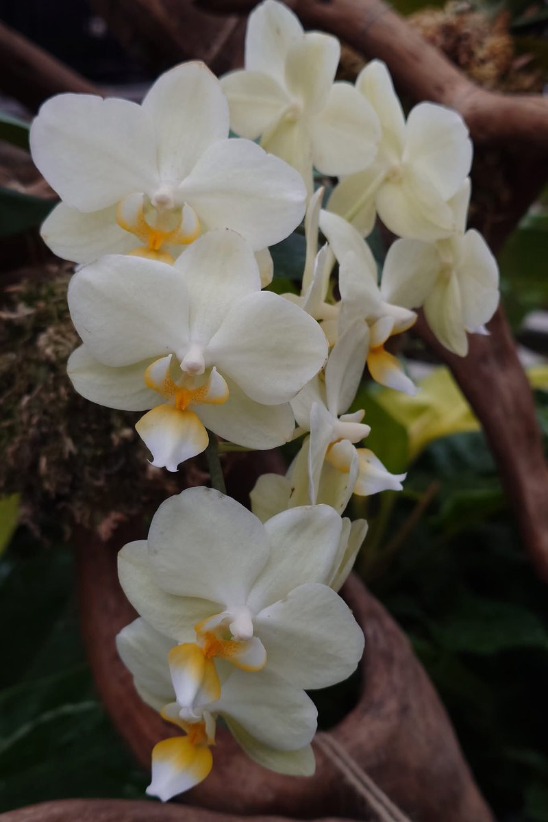 takecyanful's tweet image. 7/17 木曜日 ☔️ 24℃
🍃 おはようございます🍃
ーーーーーーーーーーーー
Good morning everyone
ーーーーーーーーーーーー
🍃🌸🍃