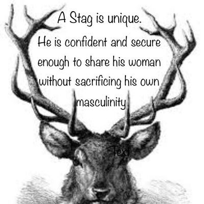 vxn_lifestyle's tweet photo. #stag #vixen #hotwife https://t.co/tUBNragZeB