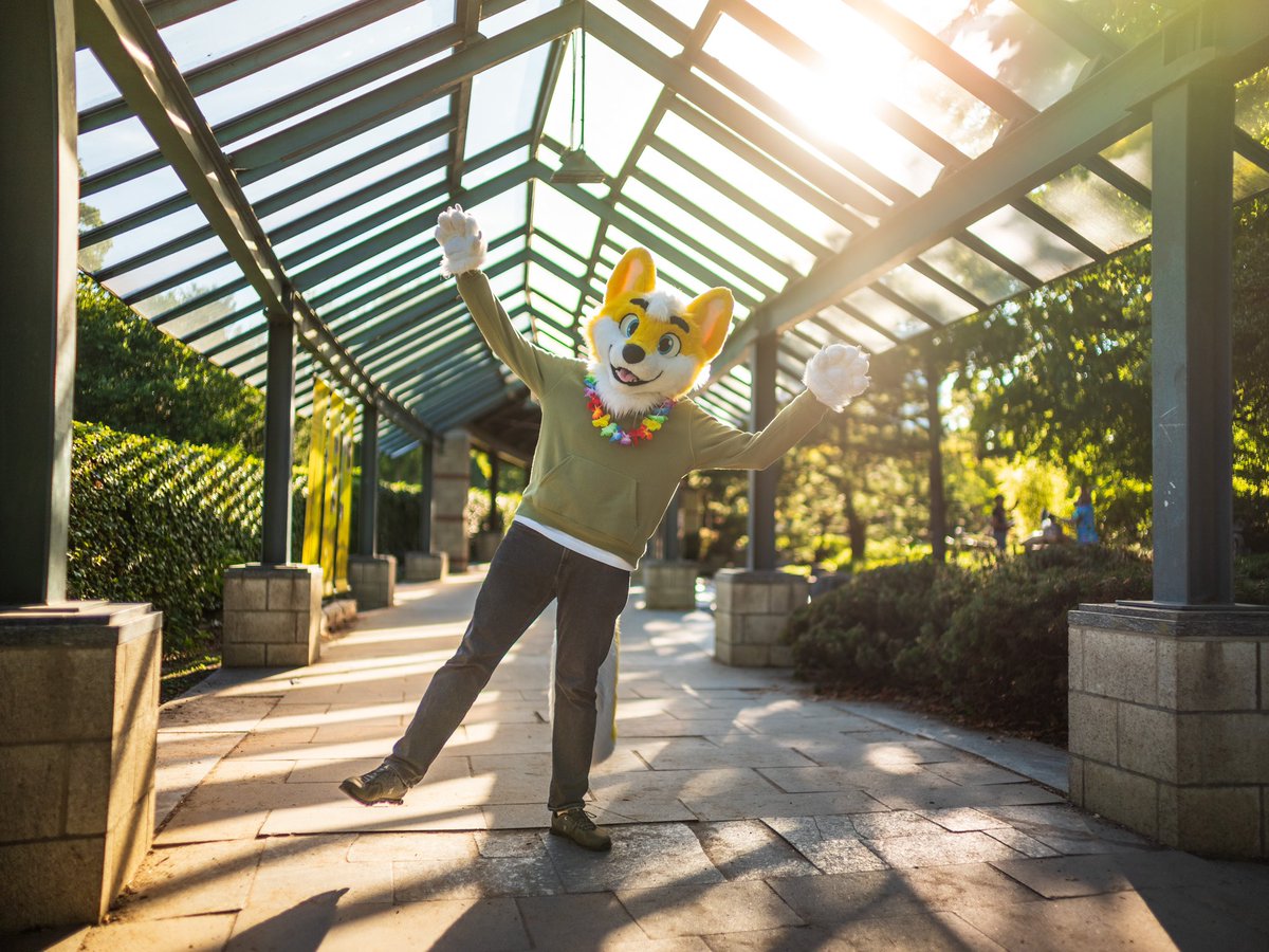 I think I like this place 🥰

📸 <a href="/CaptainChaotika/">🌻 混沌的隊長 ➡️ AFC</a>