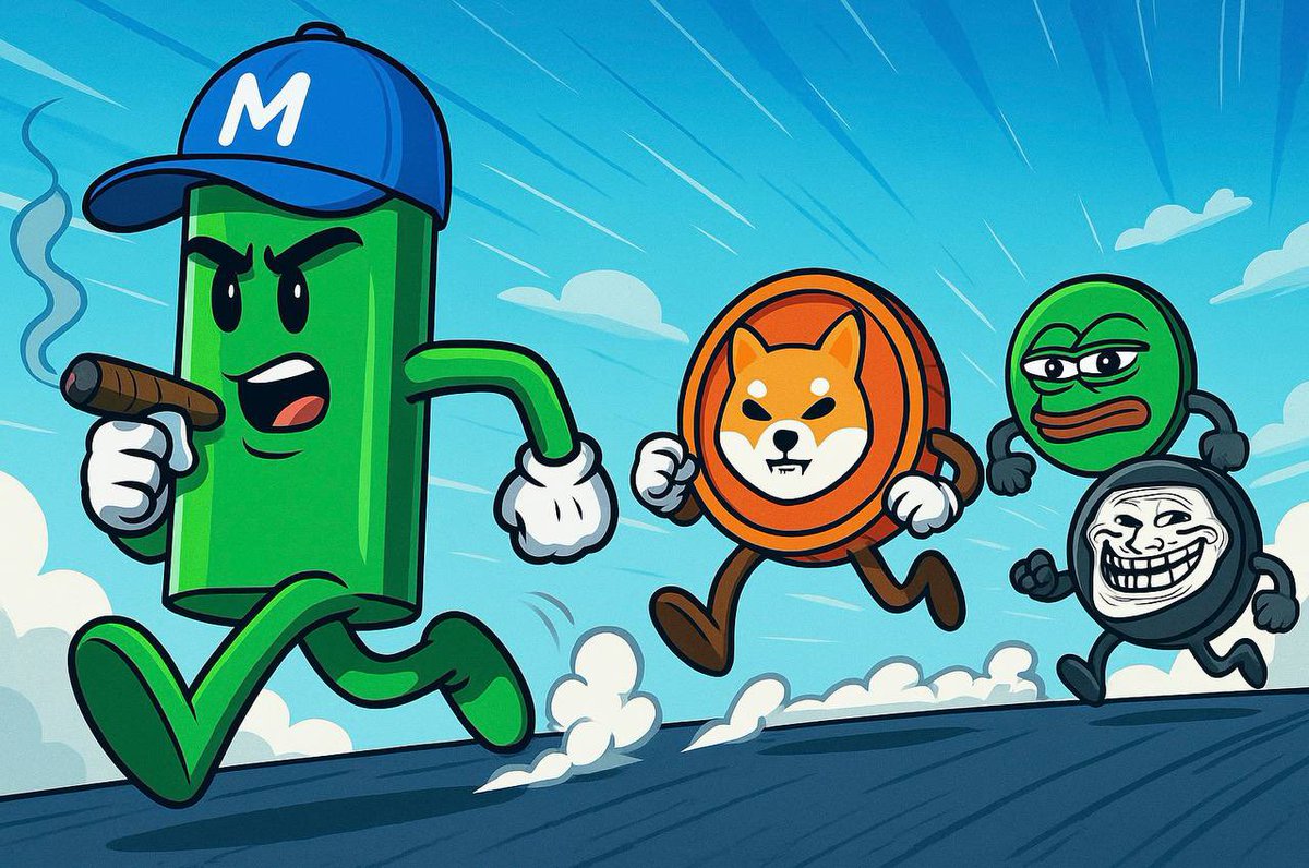 Space King 🐬 tweet media