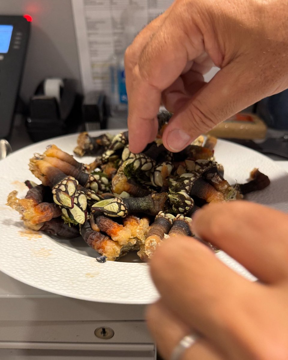 ericripert's tweet image. Percebes: the ultimate ocean delicacies for our lunch this afternoon! Saline, with a hint of sweetness… Blanched for 3 minutes, then peeled, twisted, and devoured. Spanish goose barnacles — a rare treat from our friend @BrowneTradingCo @LeBernardinNY 🙏