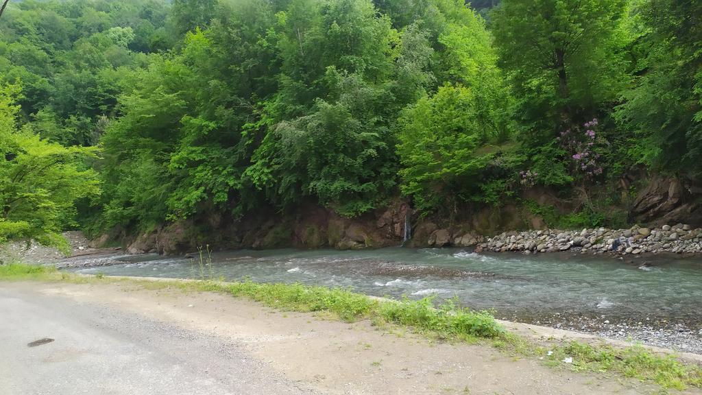 Ülkemiz hayvan hastalığı şaptan kırılıyor diye Türkiye hayvan borsasını kapatıyoruz besici alım satımcı perişan oluyor ,
Lakin ithal dana gemileri sevkiyatı hiç durmuyor tırlarlar dolusu anguslar giriş yapıyor 🤔