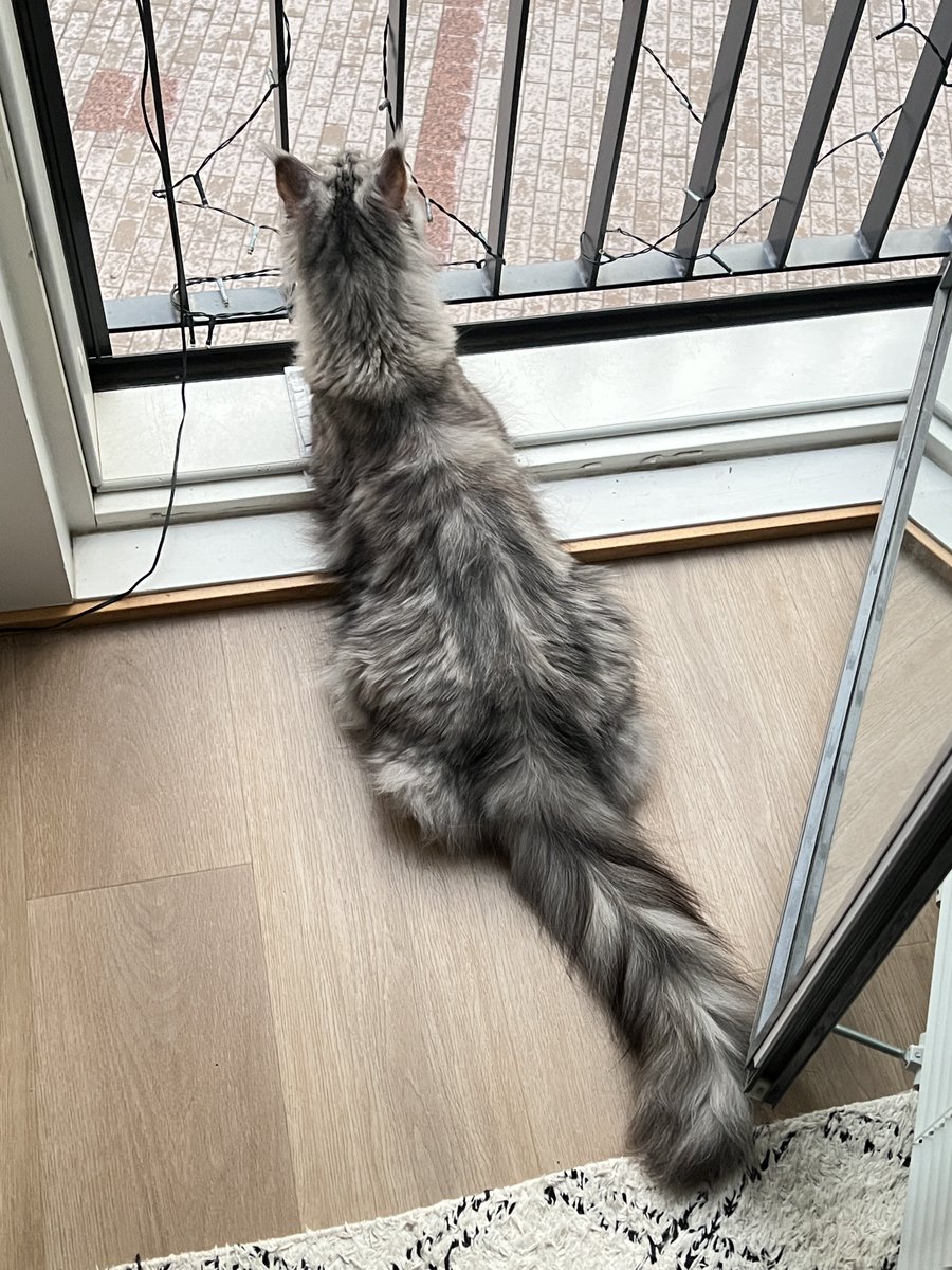 Ullana paikalla😅😍