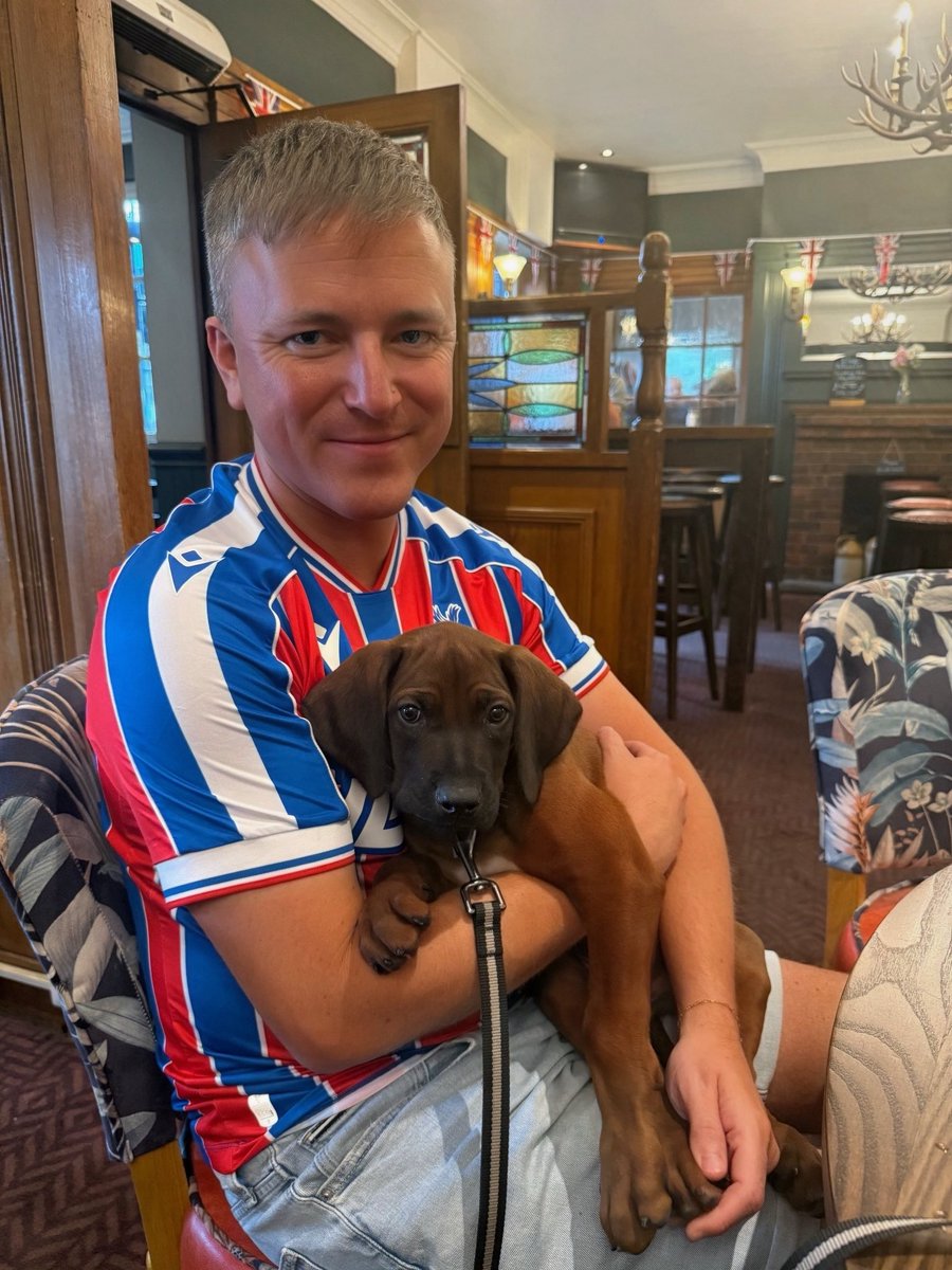 🐶 With DJ the Rhodesian Ridgeback