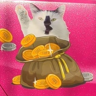 Raise your hand if you are about to win.  Jasper knows. $UFD