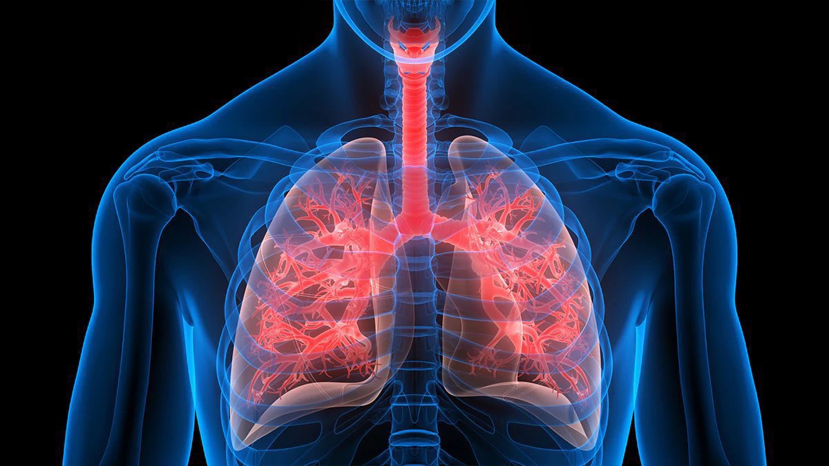abdulhamid_199's tweet photo. سوال

ليش ممنوع نعطي هذا المسكن 
لمريض ال Asthma  وايش السبب ؟ https://t.co/rvrl2tDjsQ