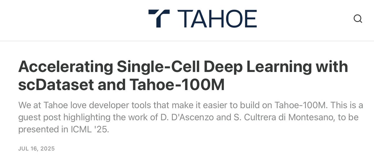 nalidoust's tweet image. We love it when others build dev tools for building on Tahoe-100M. Today, we highlight scDataset in our @tahoe_ai blog. Developed by @davide_dascenzo & @sebacultrera, it makes it easier to train DL models on datasets with the daunting scale of Tahoe-100M (see poster in ICML '25)