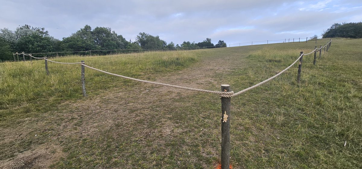Nature Recovery phase 2 on Box Hill done by yours truely. Phase 1 has been brilliant with high biodiversity, including some very rare native orchids. Watch this space! 🌼 🙂