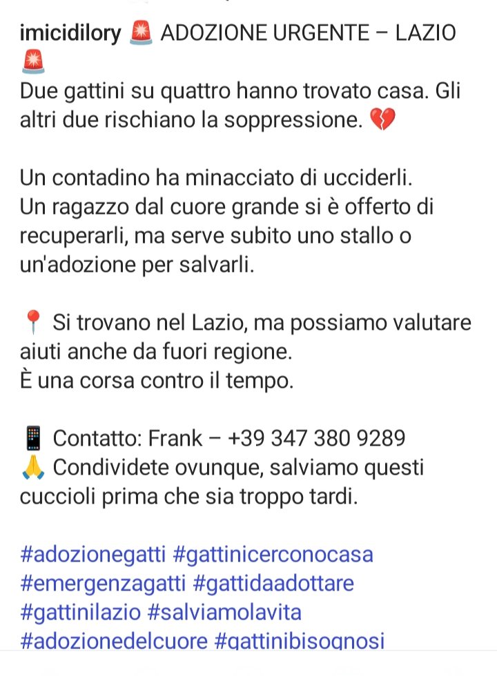 marcob0873's tweet image. 🚨🚨🚨🚨🚨🚨🚨🚨🚨🚨🚨
- CONDIVISIONE MASSIMA -
🚨🚨🚨🚨🚨🚨🚨🚨🚨🚨🚨