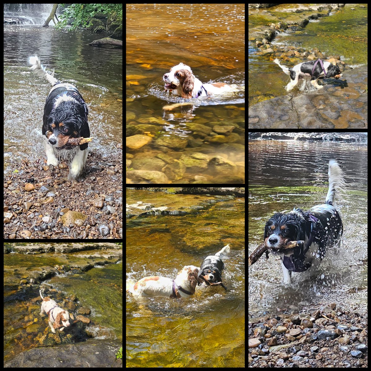 runawaygirl248's tweet image. Live in the moment, do random stuff π
Make memories to last a lifetime π
#cavpack #northyorkshire