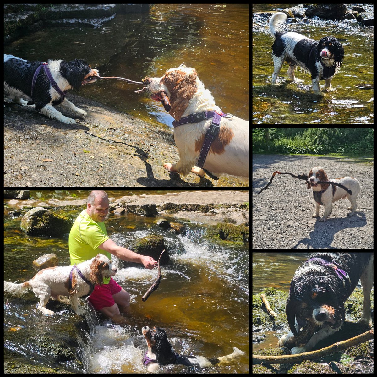 runawaygirl248's tweet image. Live in the moment, do random stuff π
Make memories to last a lifetime π
#cavpack #northyorkshire
