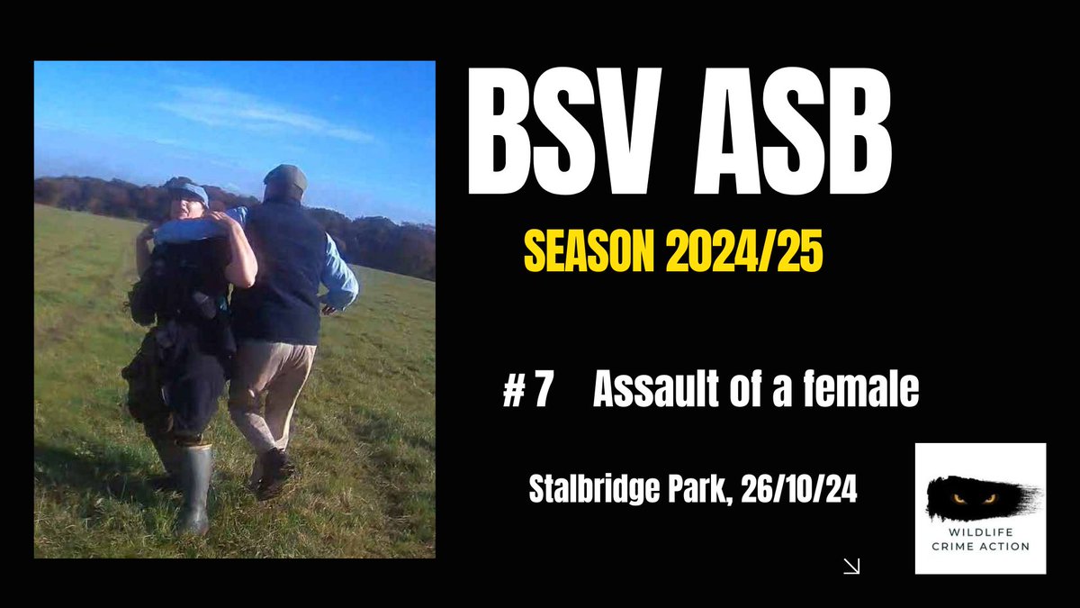 It's day 7 of our BSV ASB series highlighting the vile BSV hunt's antisocial behaviour during the 2024/2025 hunting season and look who it is today. The  BSV kennelman attacking a female sab.