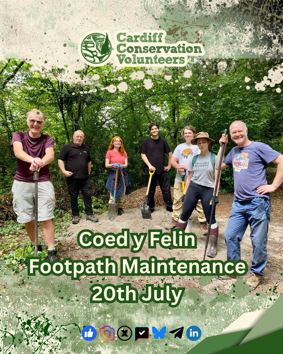 This Sunday we'll be on home turf helping to maintain the footpaths around Coed y Felin.

cardiffconservation.org.uk/2025/07/sunday…

#cardiff #caerdydd #volunteer #conservation #wales #cymru #saveourwildisles #coedcadwcymru #naturalresourceswales #woodlandtrust #rspb #wildlifetrust
