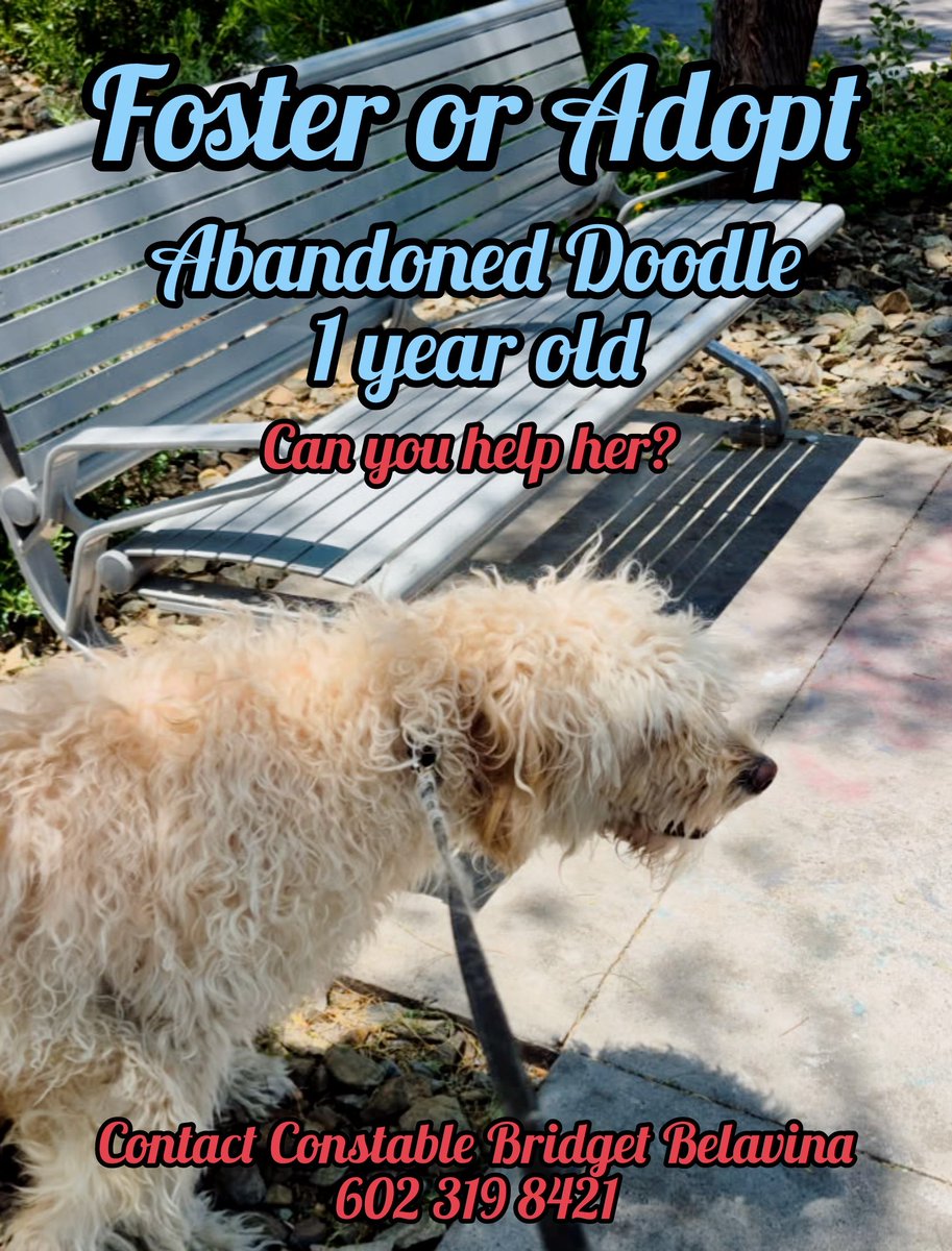 Dog Trainer US tweet media