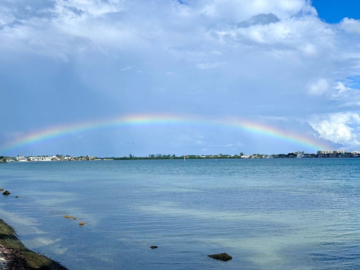 This just in!
Morning views from our special city. 😎

📍Bird Key Park
