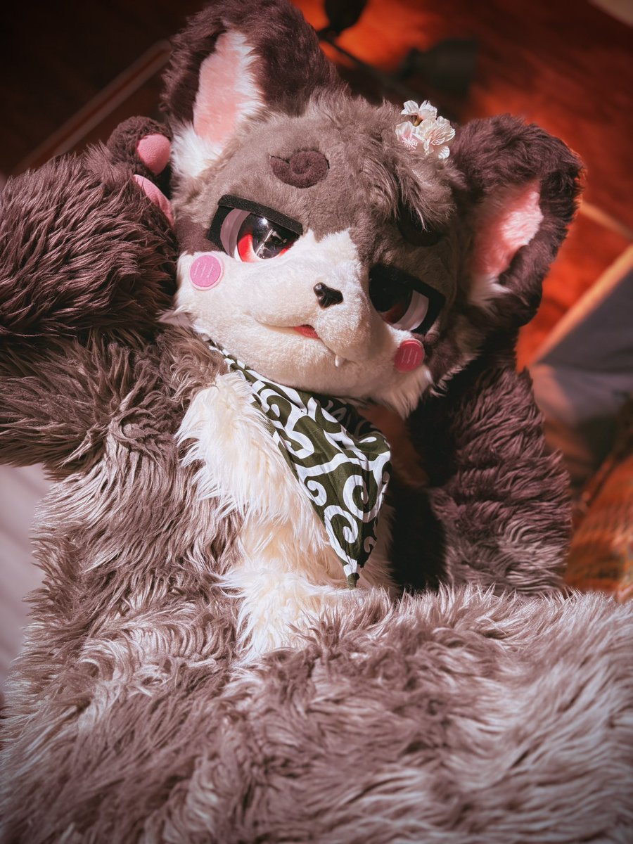 这周在 UTFG 見喔！請多多指教~🐱