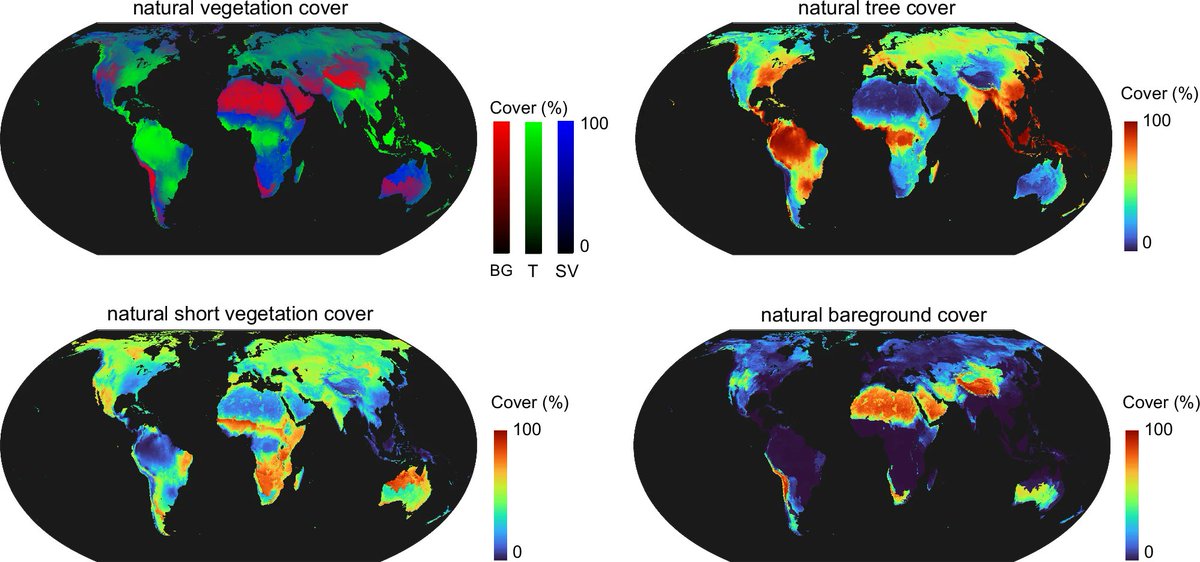 In our new study in <a href="/NatureComms/">Nature Communications</a> doi.org/10.1038/s41467… we present a detailed map suggesting that 43% of land could support trees, 39% shrubs and grasses, and 18% bare ground. managing fire frequency &amp; wildlife herbivory can shift vegetation on at least 675M ha globally