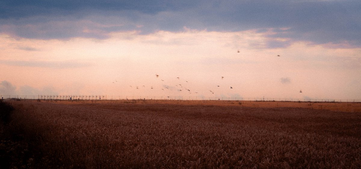 Recent stuff I took :)