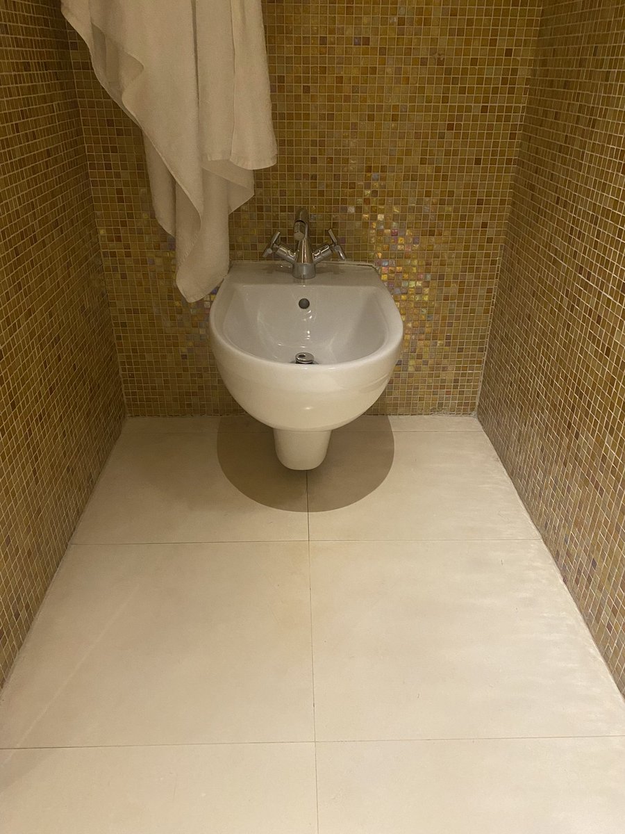 France has these wicked-ass urinals in the rooms I’ve just been hosing in all week… a real game-changer
🇫🇷 🇫🇷