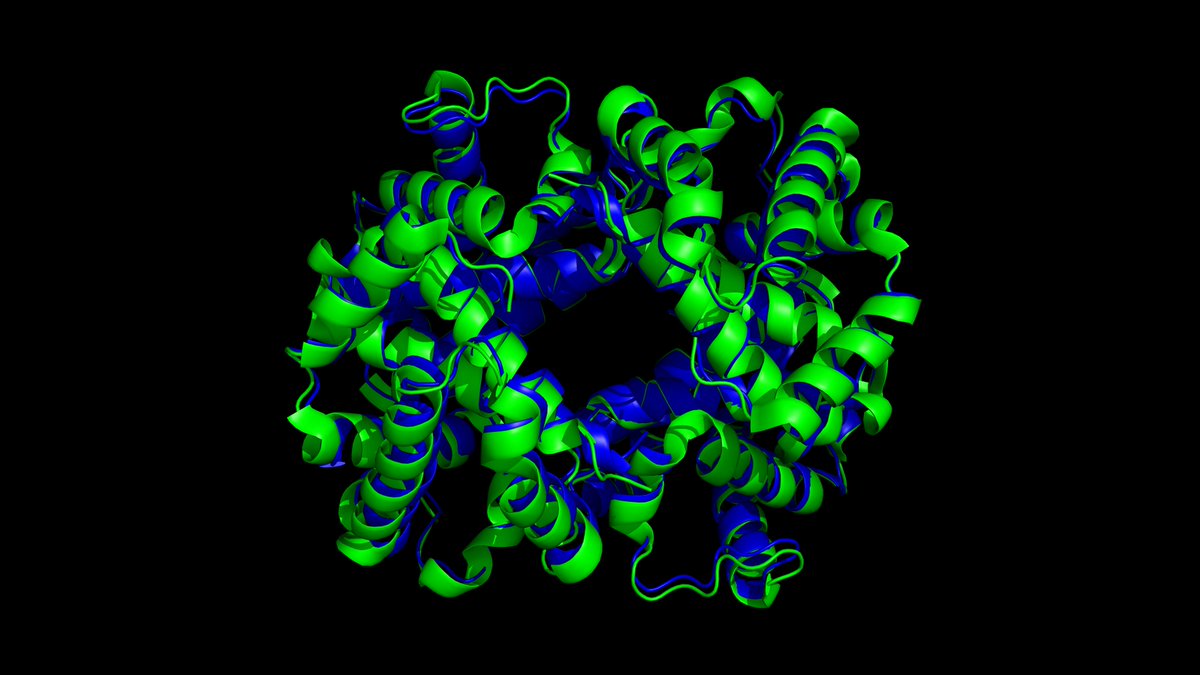 moritzthuening's tweet image. TT-Boltz is more than 1 minute faster again. The blue protein structure in the image was computed in 3 minutes and 20 seconds on a single Tenstorrent Wormhole processor.
At Dev Day, it took 15 minutes, and the goal of 2 minutes seemed so far away. I was hoping for a speedup of…