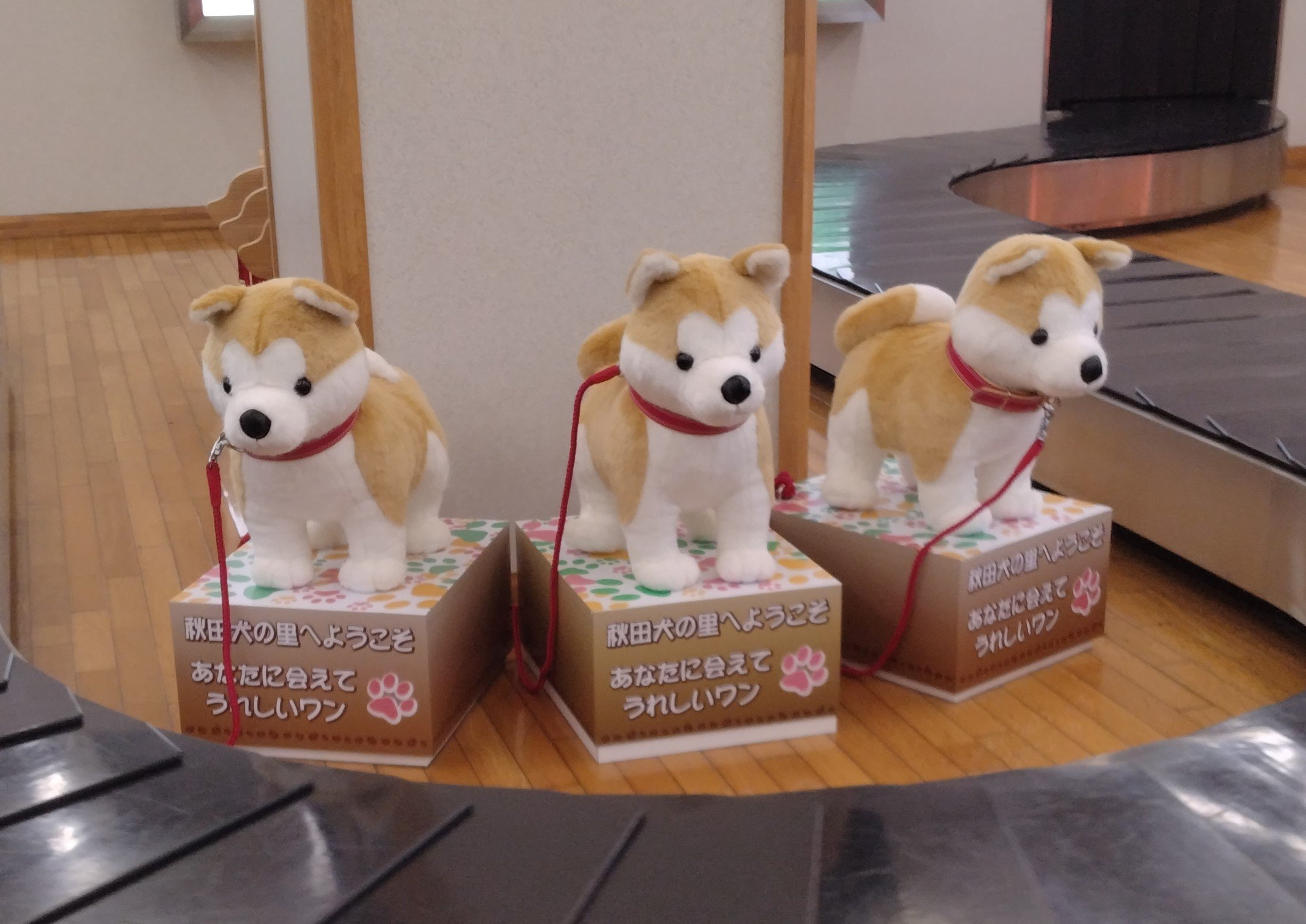 きじとら きじとら専用 - メルカリ