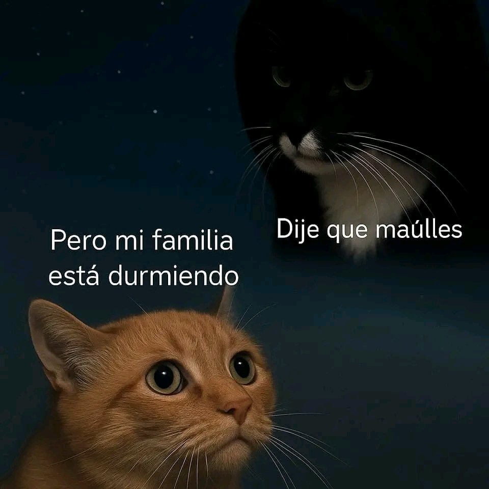 tiofelino2's tweet image. Malos consejos 🐱🐾