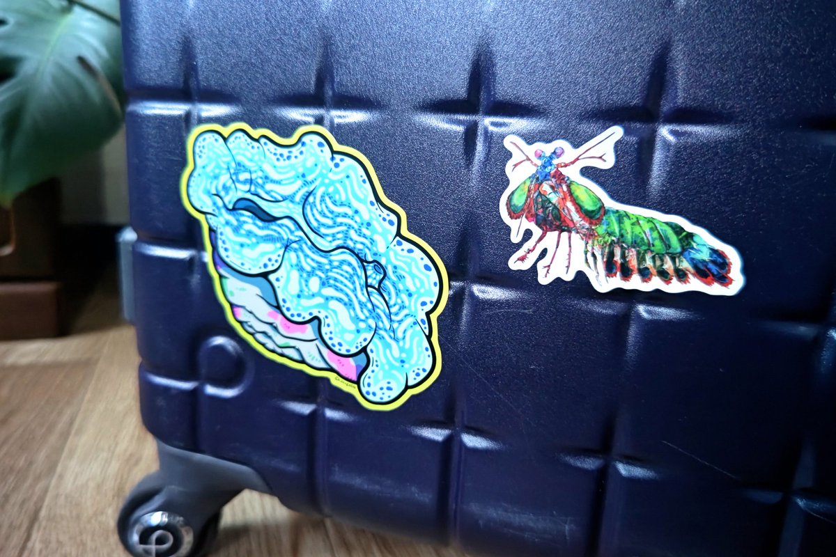 イベント遠征するたびにスーツケースにステッカー増やしたいなと思い立ち🌝

今回のいきものづくしでGETした、ゆきおもちさん(<a href="/yuki_mochi777/">ゆきおもち</a>)のモンハナシャコ🌊

前回のいきものづくしでお隣さんだった、アニママニアさん(<a href="/kasuga_dn/">kasugaDN@博物ふぇすA51(日曜出展)</a>)のシャコガイ🪸
#いきものづくし戦利品