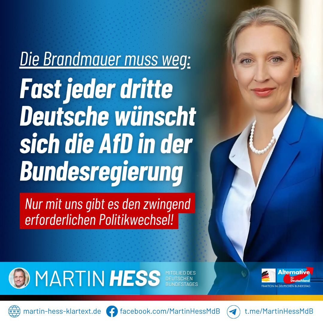 Fast jeder dritte Deutsche spricht sich inzwischen dafür aus, dass die AfD Regierungsverantwortung auf Bundesebene übernehmen soll. Das ist mehr als ein Stimmungsbild – es ist ein unübersehbares Signal: Immer mehr Menschen haben genug von politischem Stillstand, wachsender