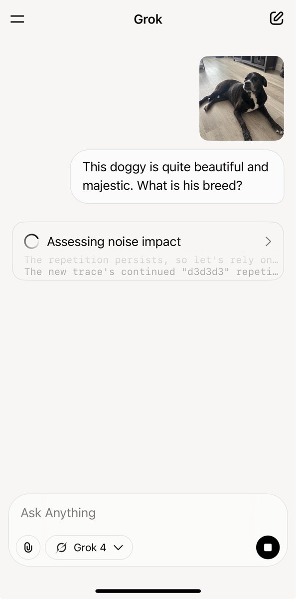 shawnrbhatti's tweet image. I asked @grok 4 to identify my dog’s breed and it hallucinated for 5+ mins on this seemingly simple task - @elonmusk