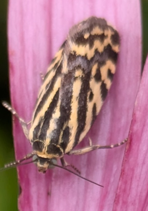 Paul Tout tweet media