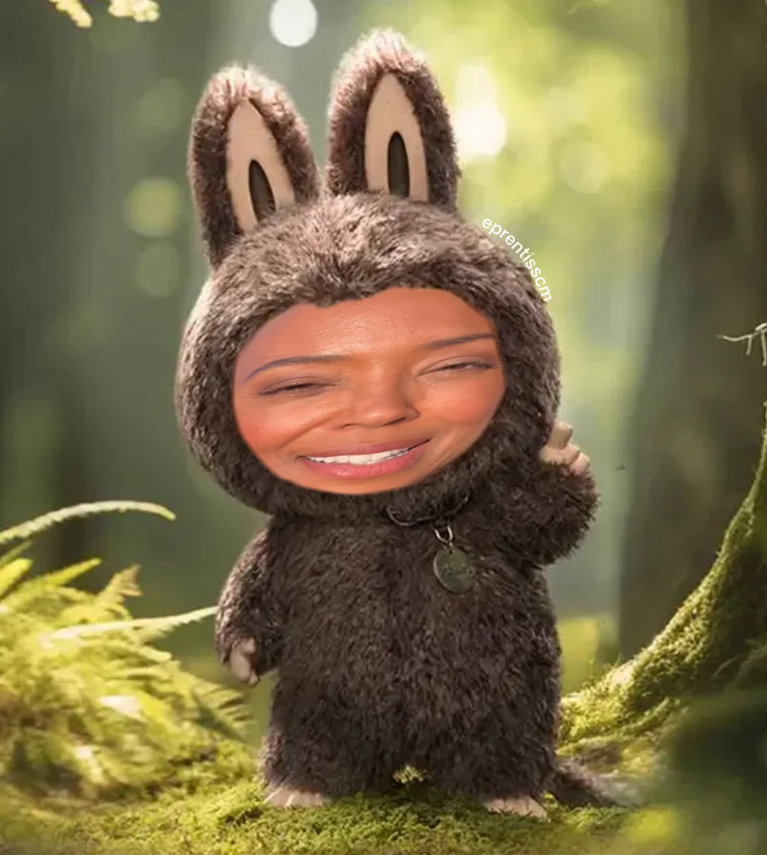 Is anyone interested in the lububu and lewbubu? They come as a set.