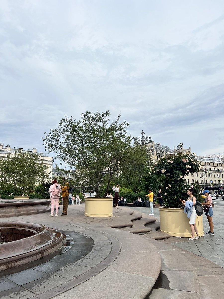 Розочки слегка подвяли, но всё ещё красивые🌸🥀🌸🍃