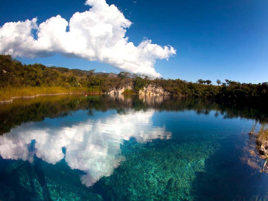 SECTUR_mx's tweet photo. 💎 Sorpréndete con la belleza de Chukumaltik, un impresionante cenote a mar abierto.  🌊

Entre los majestuosos volcánes de Comitán, se oculta un cenote con una profundidad de hasta 200 metros que resguarda estalagmitas sumergidas, esculturas ceremoniales. Bucea y asómbrate con su inmenso universo marino con cientos de peces y algas de colores intensos.
Mantén cristalina su agua y evita el uso de bloqueadores, perfumes o repelentes antes de entrar y protege este tesoro natural. 🙏🏼

Sumérgete en la profundidad de #Chiapas y redescubre lo que tiene para ti estas vacaciones de verano. 🤩