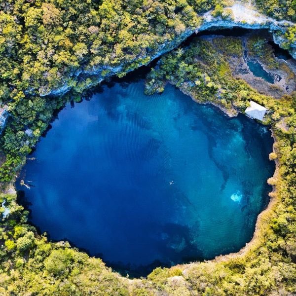 SECTUR_mx's tweet photo. 💎 Sorpréndete con la belleza de Chukumaltik, un impresionante cenote a mar abierto.  🌊

Entre los majestuosos volcánes de Comitán, se oculta un cenote con una profundidad de hasta 200 metros que resguarda estalagmitas sumergidas, esculturas ceremoniales. Bucea y asómbrate con su inmenso universo marino con cientos de peces y algas de colores intensos.
Mantén cristalina su agua y evita el uso de bloqueadores, perfumes o repelentes antes de entrar y protege este tesoro natural. 🙏🏼

Sumérgete en la profundidad de #Chiapas y redescubre lo que tiene para ti estas vacaciones de verano. 🤩