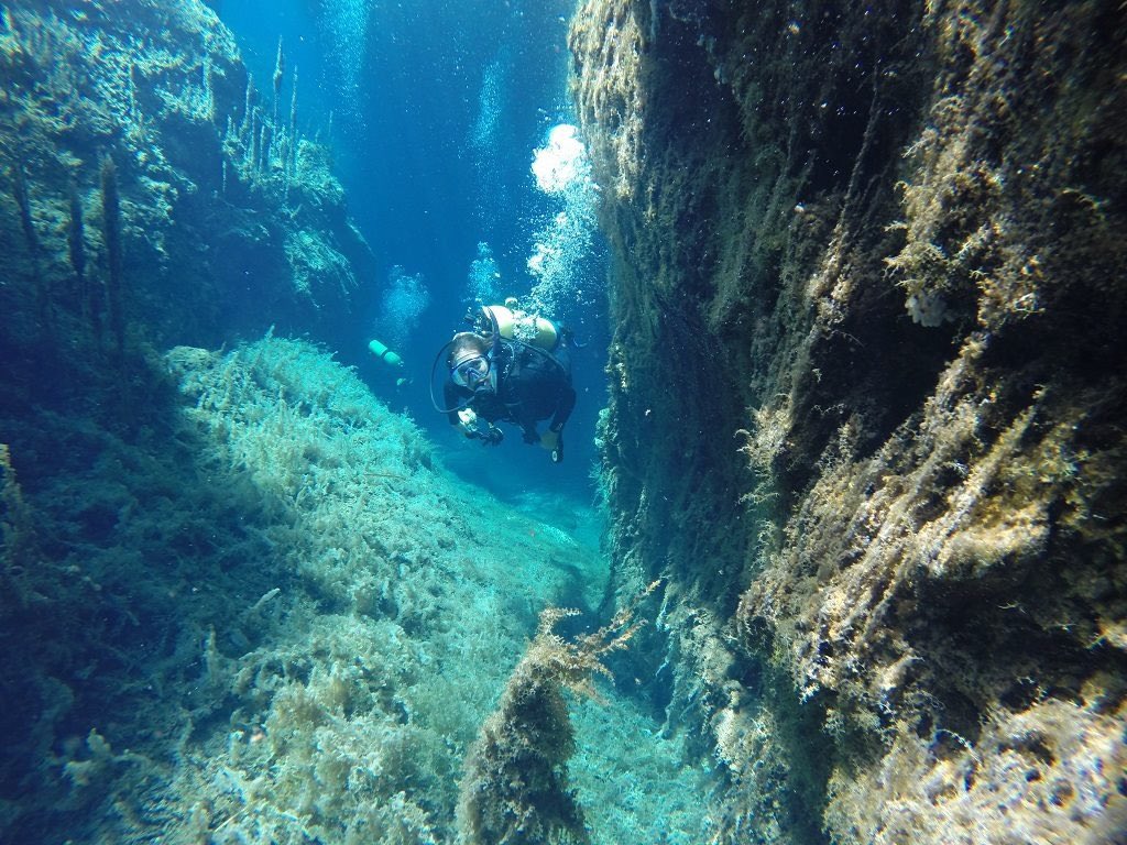SECTUR_mx's tweet photo. 💎 Sorpréndete con la belleza de Chukumaltik, un impresionante cenote a mar abierto.  🌊

Entre los majestuosos volcánes de Comitán, se oculta un cenote con una profundidad de hasta 200 metros que resguarda estalagmitas sumergidas, esculturas ceremoniales. Bucea y asómbrate con su inmenso universo marino con cientos de peces y algas de colores intensos.
Mantén cristalina su agua y evita el uso de bloqueadores, perfumes o repelentes antes de entrar y protege este tesoro natural. 🙏🏼

Sumérgete en la profundidad de #Chiapas y redescubre lo que tiene para ti estas vacaciones de verano. 🤩