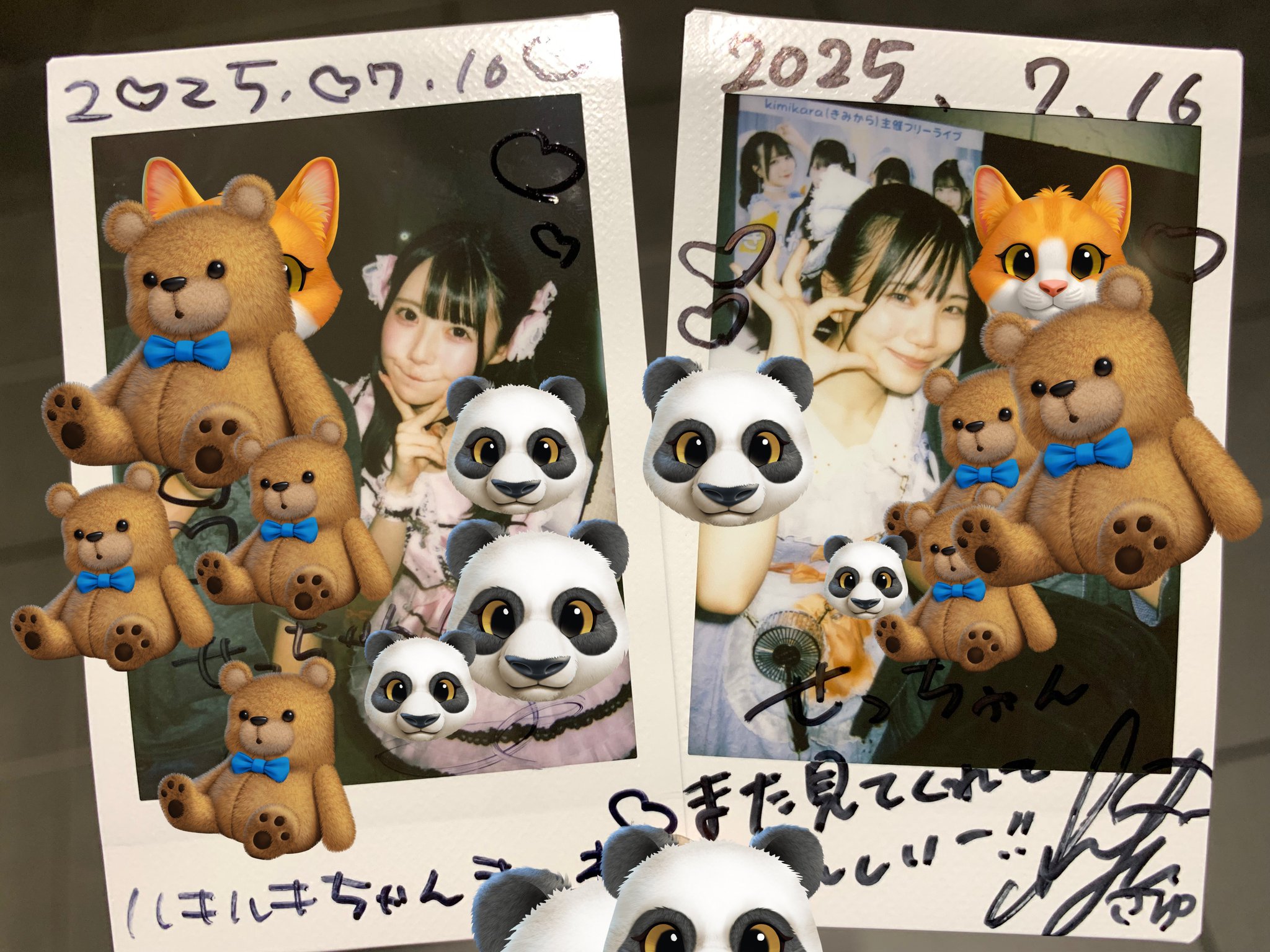 せっちゃん on X: 