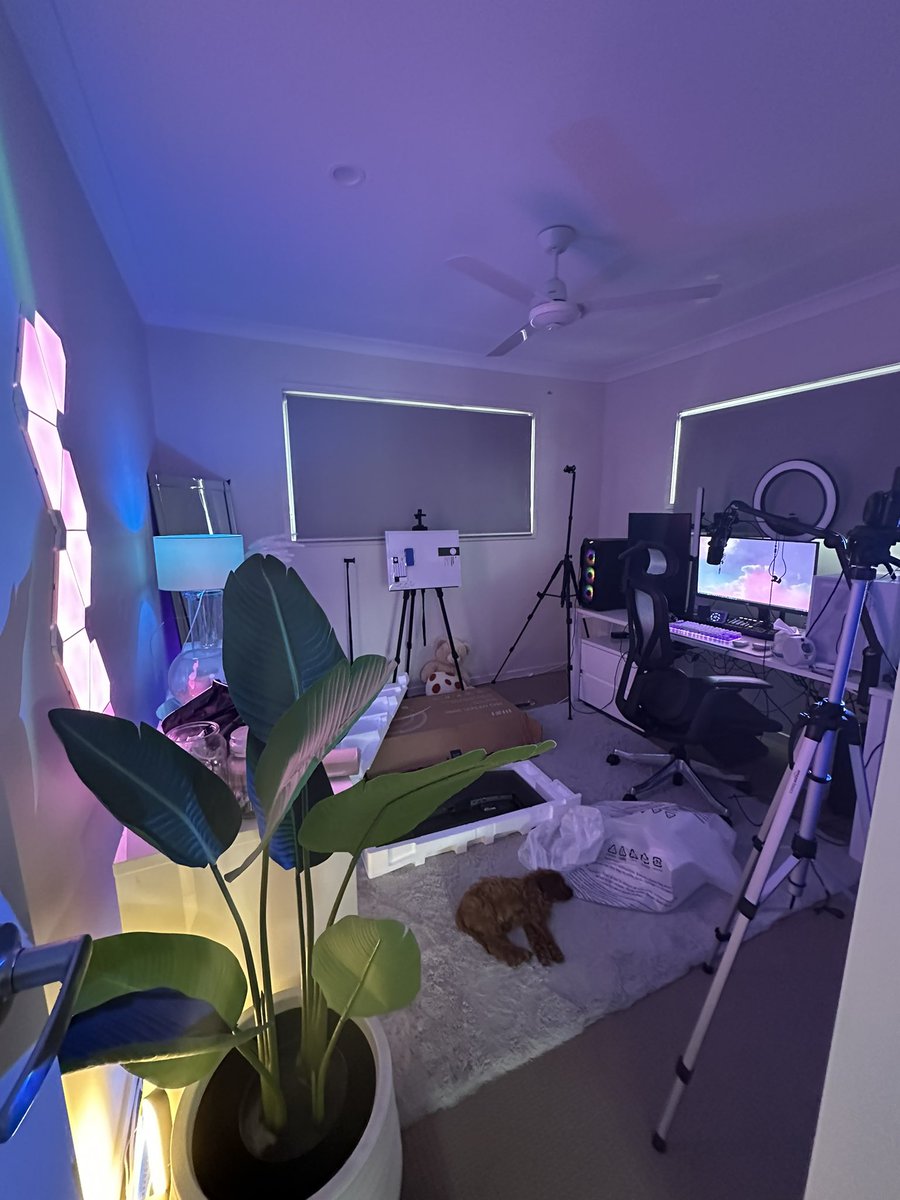 QRlSSY's tweet photo. gaming room make-over 🪄

(excuse the single curtain, I sold & ordered only one)