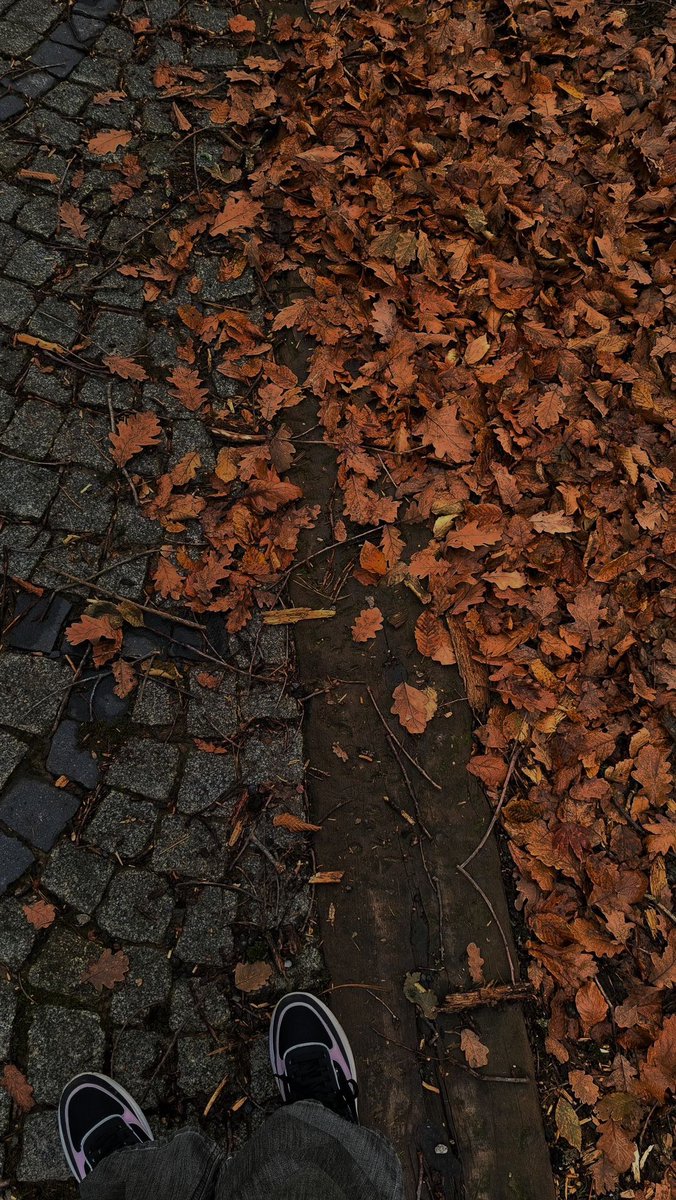 thespookygirll's tweet image. i honestly cannot wait for October