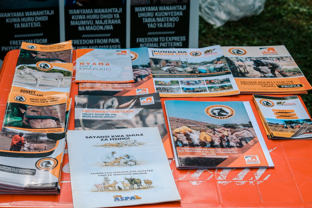 aspa_tz's tweet photo. We are at the Innovation Exchange Conference by ECHO East Africa & Watershed Foundation! π΄ We're sharing how donkeys support rural livelihoods & showcasing our improved harness materials. Visit our booth! π‘π #DonkeyWelfare #Innovation #aspatz #WorkingAnimalsMatter https://t.co/QT6fbP8ssr
