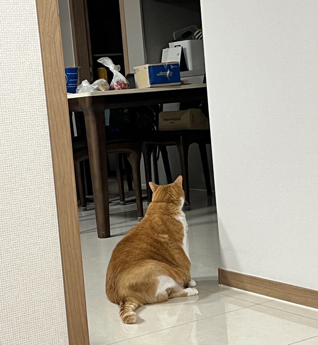 geumdong103's tweet image. 맘마 어필 중