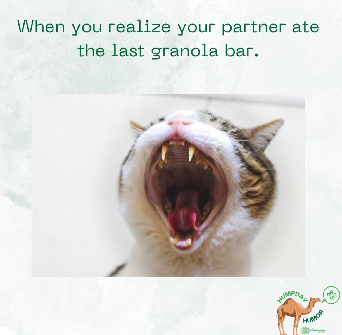 That granola bar had my name on it… in blood, sweat, and desperation.#ShiftSnackWars #HumpDayHumor