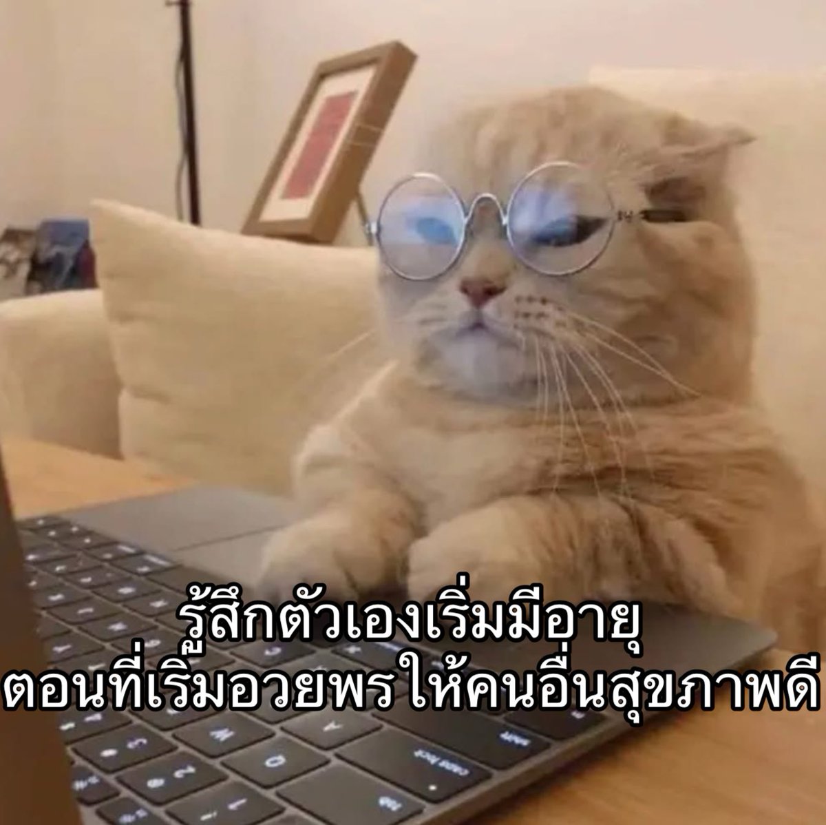 ขอให้เธออย่าผมร่วง อย่าปวดหลัง อย่าเป็นกรดไหลย้อน