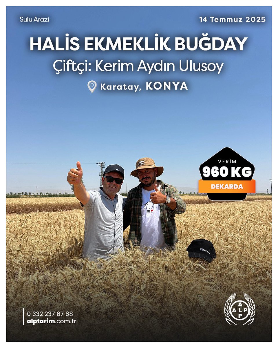 Halis Ekmeklik Buğday 🌾 

Halis ekmeklik buğday, yüksek verimiyle tarla performansını en üst seviyeye taşır. Dayanıklı yapısı ve uyumlu gelişimiyle üreticisine güven verir.

#BereketliGelecek #AlpTarım #HalisEkmeklikBuğday