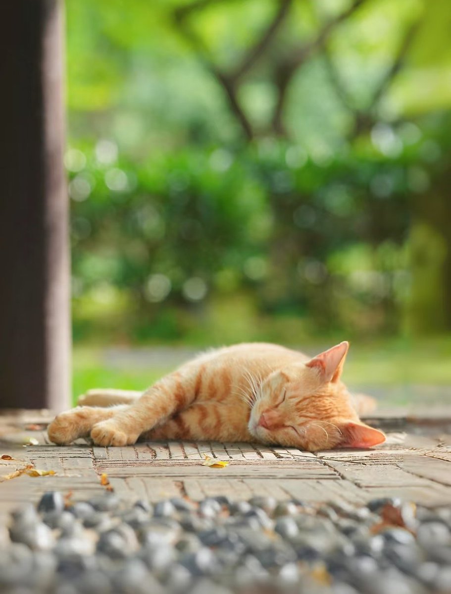 SHH, don't wake it up