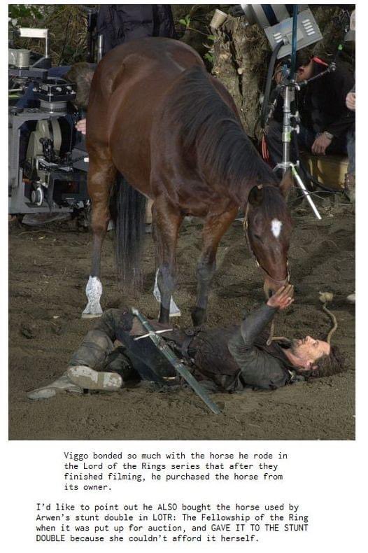 Tolkien World tweet media