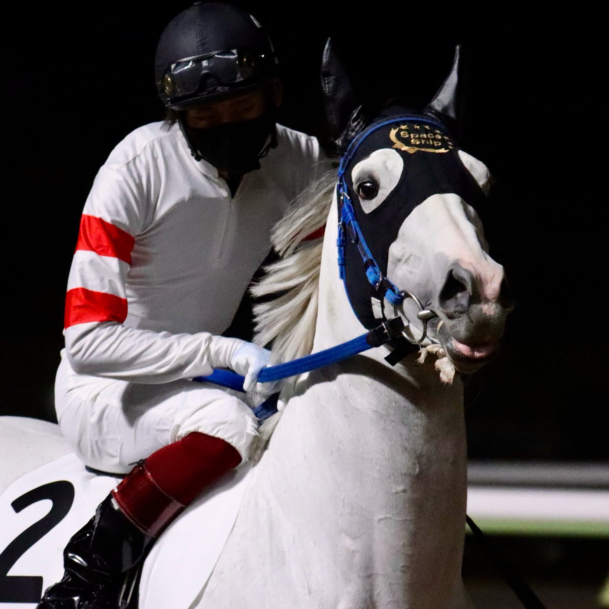 ゆっか (@peg_yk) / Posts / X