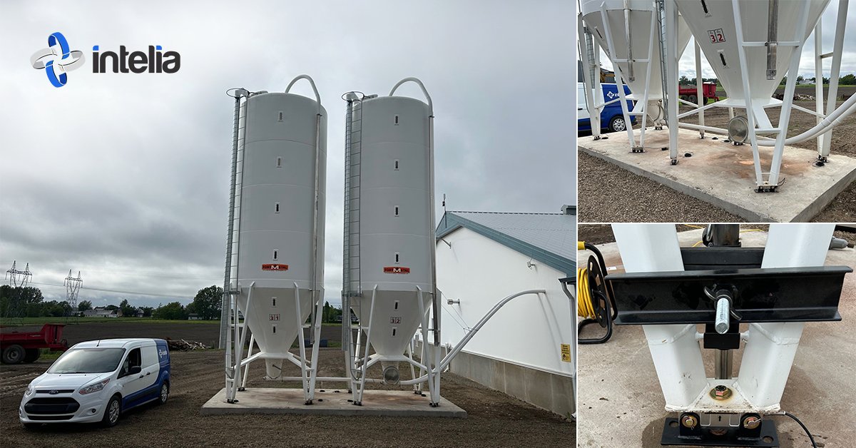 intelia.com tweet media