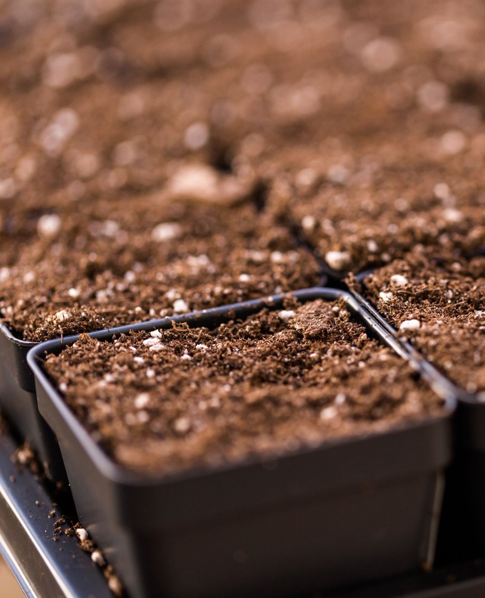 A.M.A. Horticulture Inc. tweet media